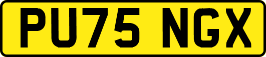 PU75NGX