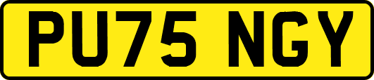 PU75NGY