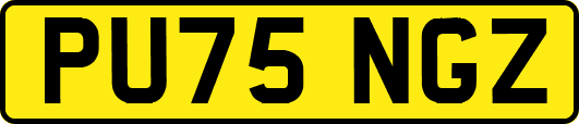 PU75NGZ