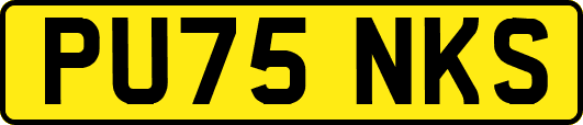 PU75NKS