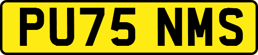 PU75NMS
