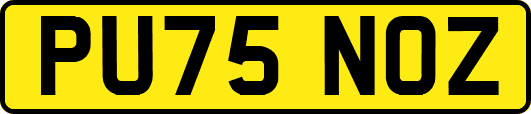 PU75NOZ
