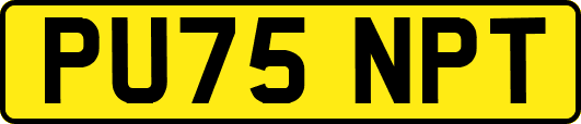 PU75NPT