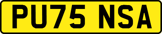 PU75NSA