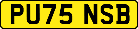 PU75NSB