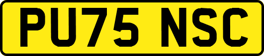 PU75NSC