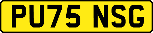 PU75NSG
