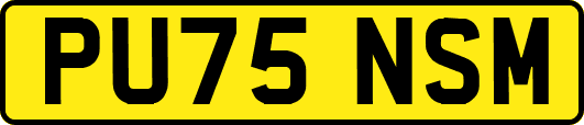 PU75NSM