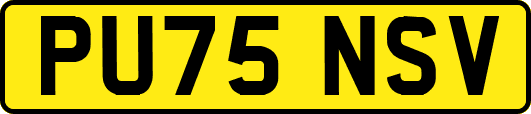 PU75NSV