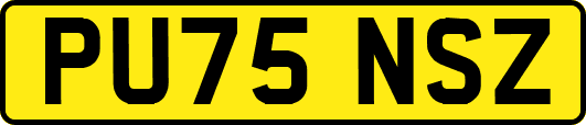PU75NSZ