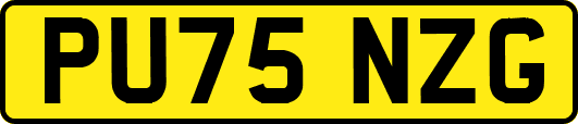 PU75NZG