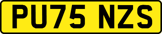 PU75NZS