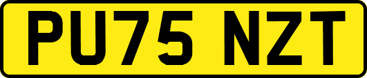 PU75NZT