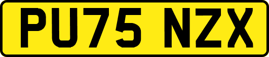 PU75NZX