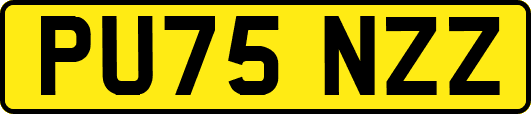 PU75NZZ