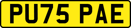 PU75PAE
