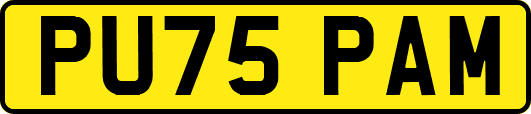 PU75PAM