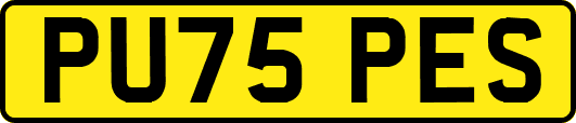 PU75PES