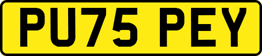 PU75PEY