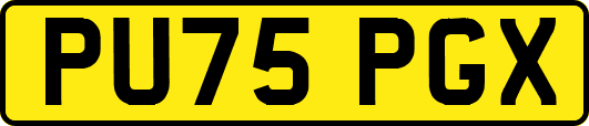 PU75PGX