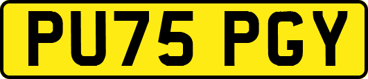 PU75PGY