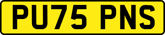 PU75PNS