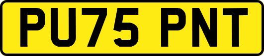PU75PNT