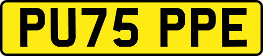 PU75PPE