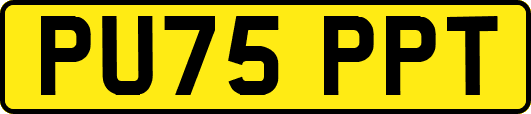 PU75PPT