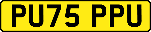 PU75PPU
