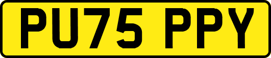 PU75PPY