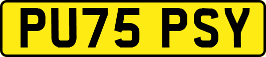 PU75PSY