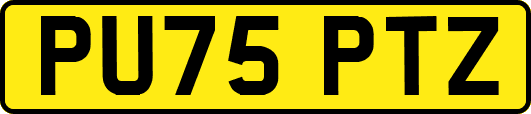 PU75PTZ