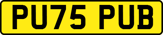 PU75PUB