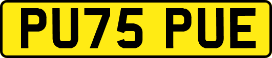 PU75PUE
