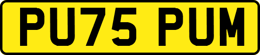 PU75PUM