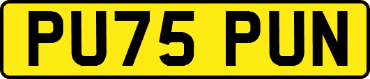 PU75PUN