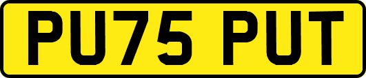PU75PUT