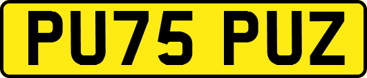 PU75PUZ