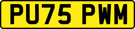 PU75PWM