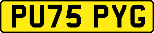 PU75PYG