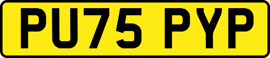PU75PYP