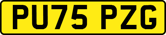 PU75PZG