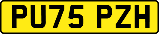 PU75PZH