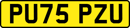 PU75PZU