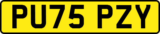 PU75PZY