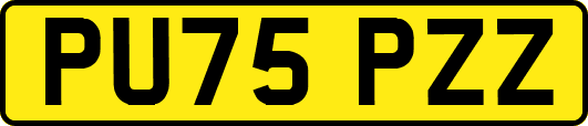 PU75PZZ