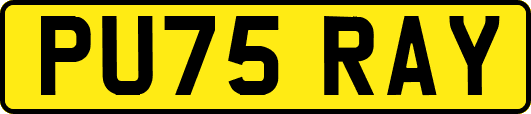 PU75RAY