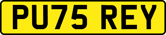 PU75REY