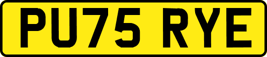 PU75RYE